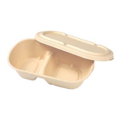 China Factory Wholesale Degradable High Quality Disposable Food Container Type Viable New for sale