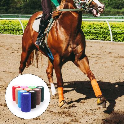 China Nonwoven Promote Healing Nonwoven 10cm Cohesive Tubular Bandage For Horse Pet for sale