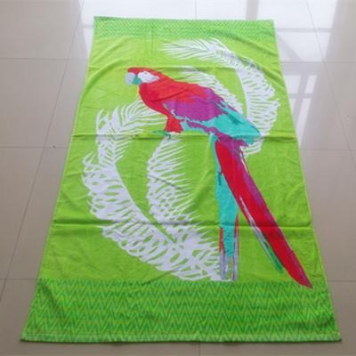 China China supplier Custom Cotton Velour Digital Print Parrot Design Green Beach Towel for sale