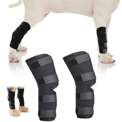 China Viable High Quality Dog Leg Braces Hock Back Joint Wraps For Injury And Sprain Protection Factory Directly for sale