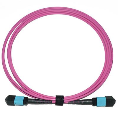 China MM MTP MPO Connector Low Insertion Loss 3.0mm Trunk 12C Fiber Optic Patchcord Multi Core for sale