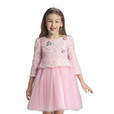 China Viable Autumn Pretty Girls Flower Long Sleeve Pink Baby Princess Dress for sale