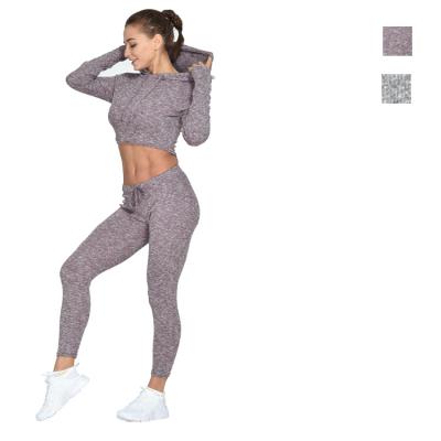 China Jiejin Breathable Sportswear Factory OEM Gym Sleeveless Hoodie Shorts And Short Set Women Sets 2 Piece Short Set for sale