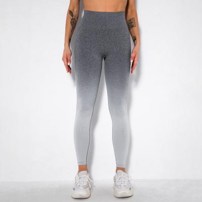 China 2021 antibacterial latest fashion designed leggings women outdoor gym fitness sports high quality pants for sale