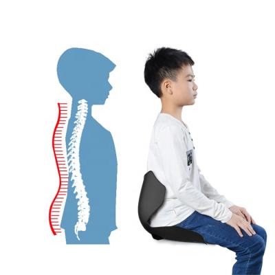 China Anti-Static Prevention Cushion Anti-Static Cushion Hunchback Students Teenagers Fashion Orthopedic Lumbar Support for sale