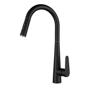 China Kitchen Thermostatic Single Handle Faucet Factory Supplier Stainless Steel For Sale for sale