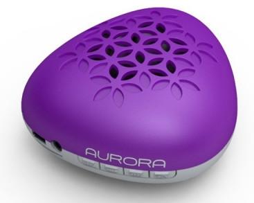 China Fantastic purple bluetooth speaker with hands-free function BS5011 for sale