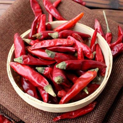 Cina Lower Price Dry Red Hot Yidu Chili Birds Eye Chilli Solid Dry Pepper Ripened Chili Sundried in vendita