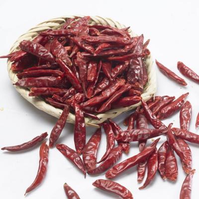 Cina Hot Sale Natural Red Chaotoian Chilli chili pepper, 100% Natural Product in vendita