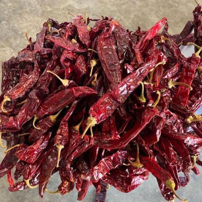 China Dry sweet paprika dried red paprika stem less for sale Dried Red Chilli Peppers for sale