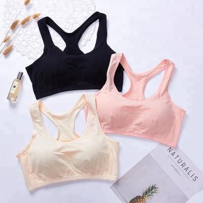 China Wholesale 2019 New Style Women Fitness Big Size Antibacterial Yoga Bra Comfortable Bra Top For Ladies for sale