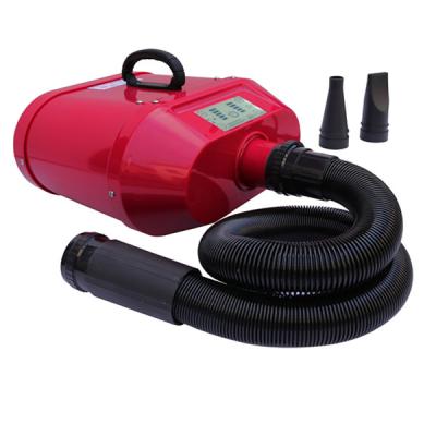 China Workable Dual Motor Steeples Adjustable Speed ​​LCD Display Dog Water Blower Pet Hair Dryer for sale