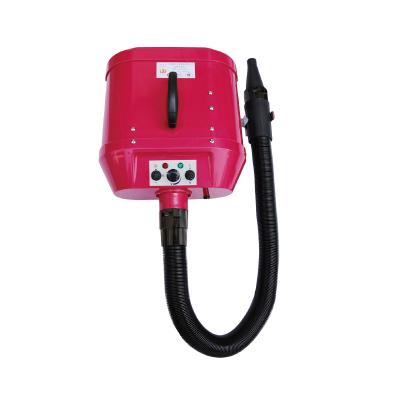 China Durable High Quality Portable Dual Motor 2800W Dog Grooming Pet Standing Hair Dryer for sale