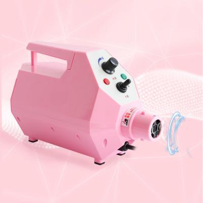 China Durable High Speed ​​Adjustable Air Low Noise Pet Grooming Dog Compulsory Hair Dryer for sale