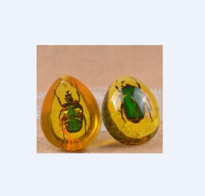 China China Green Beetle 5cm in Amber Insect Collections for sale