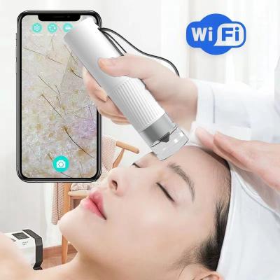 China Handheld Beaverlab Electron Microscope Skin Hair Scalp Analyzer Make Salon Use Beauty Salon Plastic Digital USB Portable Home Camera for sale