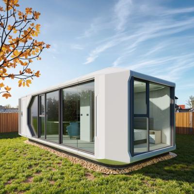 China Space Capsule Room Exterior Glass 6mm 12A Hollow Glass Steel Entrance Door With Intelligent Access Control System for sale