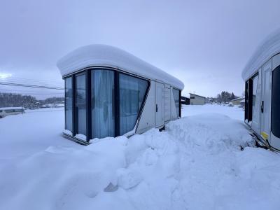 China Fast Delivery And CE Capsule House For Sale  2 People Ecocapsule Tiny House for sale