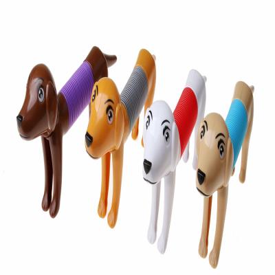 China 2022 Newest Kids Adult Dog Colorful Design Popular Stretch Toy Plastic Tubes Fidgets Pipe Autism Sensory Relaxation Restless Person Tubes for sale