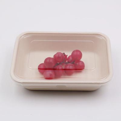 China Biodegradable Disposable Bagasse Pulp Food Tray With Biodegradable Plasma Lid for sale