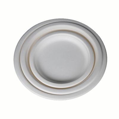 China Microwavable Disposable Biodegradable Food Dishes Eco Friendly Dishes for sale