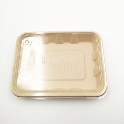 China Sustainable Bagasse Pulp Food Packaging Tray With Lid for sale