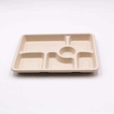 China 6 Compartments Microwave Sugarcane Bagasse Tableware Food Safe Biodegradable Tray for sale