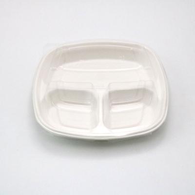 China Oil Resistant Disposable Sugar Cane Bagasse Food Tray With Plastic Cover Lid for sale