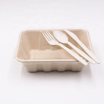 China Coastal Custom Disposable Plastic Tray Lids With Spoon for sale