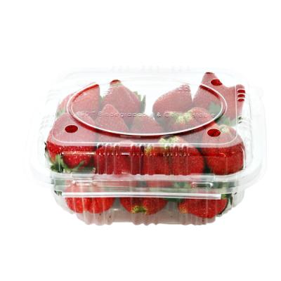 China Disposable Clamshell Clear Pla Compostable Food Packaging Boxes Transparent Foldable for sale