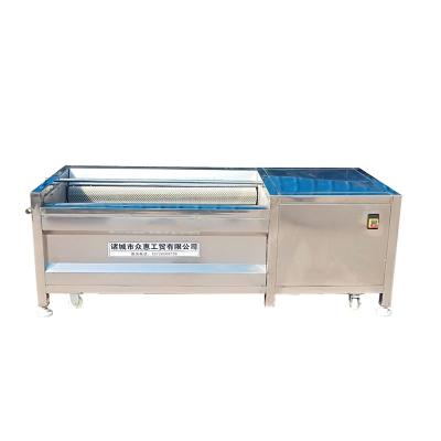 China Commercial vegetable processing plant potato cassava washing and peeling brush machine for sale