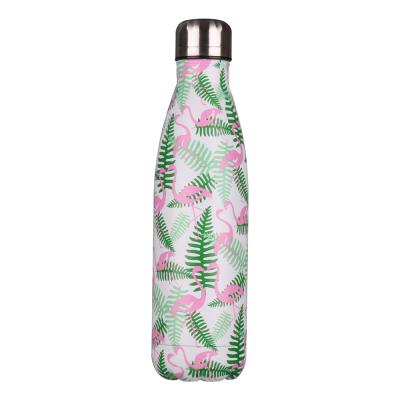 China Sustainable 500ml Double Wall Vacuum Insulated Leak Proof Cola Shape Water Bottle Stainless Steel Water Bottle for sale