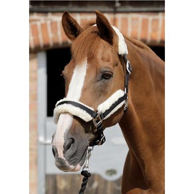 China Horse halter techno wool striped head collar HA01 for sale