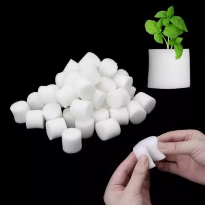 China Eco-friendly Seedling Sponge Mesh Cup Hydroponics Hydroponic Garden Sponge for sale