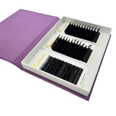 China 2021 New Product Soft Camellia Eyelashes Extensions Easy Fan Lashes Flat Lashes Extension for sale