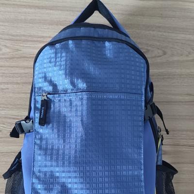 China 2021 OEM ODM BSCI Factory Waterproof BAG Sports Backpack Travel Backpack for sale