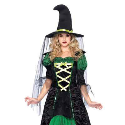 China High Quality Sheer Dress Halloween Classic Costume For Women Storybook Witch Costume for sale