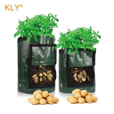 China Economical Online Tomato Planter Bag Growing Plant Bag for sale