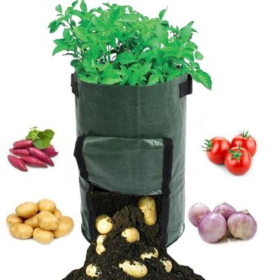 China Economy Garden Planter Harvest Growing Bag for sale