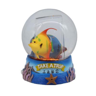 China Europe Factory Direct Glass Ball Photo Snow Globes With Photo Insert Clown Fish Decoration Diy Water Snow Globe Picture Frame for sale