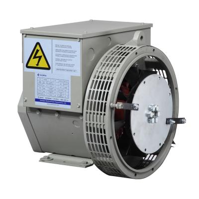 China Good quality 50HZ 60HZ AC 6kW single ratio brushless dual ratio alternator for generator GR160A for sale