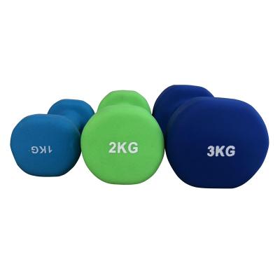 China Universal Cheap High Quality Vinyl Neoprene Dumbbell Porcelain Dip Fitness for sale