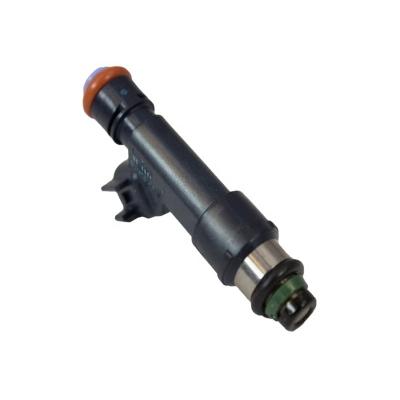 China GM RONYU Car Engine System Parts RYDW Fuel Injector For Ford Duty OEM CM-5195 DEXTA for sale