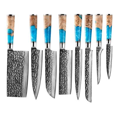 China Durable Damascus Knife Hammer Pattern Knife Cook Knife With Colored Resin Handle for sale