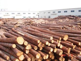 Verified China supplier - Fujian Province Youxi City Mangrove Wood Machining Co., Ltd.