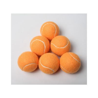 China Wholesale Custom Tennis Ball Training Professional Tennis Ball Logo Sport Training Cricket Ball for sale