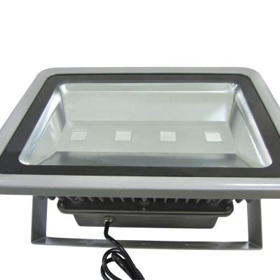 China Sports Stadiums 100 Watt Led 50000 LED Flood Light Flood Light 12v Warm/Cold White Waterproof Flood Light for sale