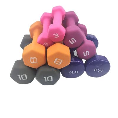 China Hot Selling 5Kg Family Fitness Neoprene Dumbells / Vinyl Dumbbell for sale