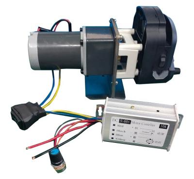 China Dc Motor Speed Adjustable Peristaltic Pump Oem With YZ15 Pump Head for sale