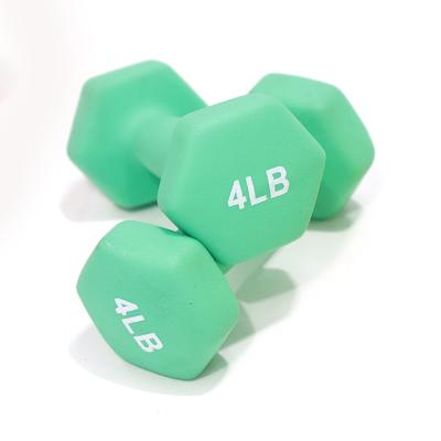 China Weightlifting Training Wholesale Dumbbell Muscle Sports Foam Hex Personal Trainer Power Dip Plastic Dumbbell Bodybuilding Strength Training for sale